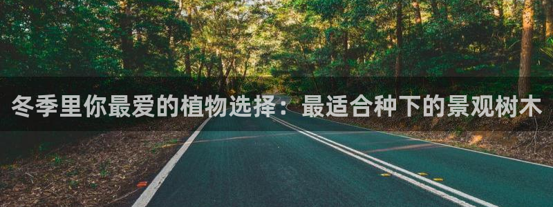 66新宝gg:冬季里你最爱的植物选择:最适合种下的景观树木