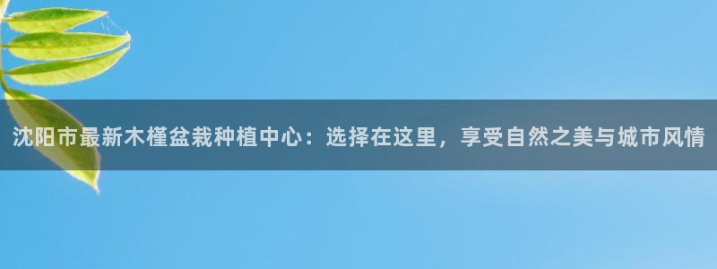 新宝gg合作:沈阳市最新木槿盆栽种植中心:选择在这里,享受自然之美与城市风情