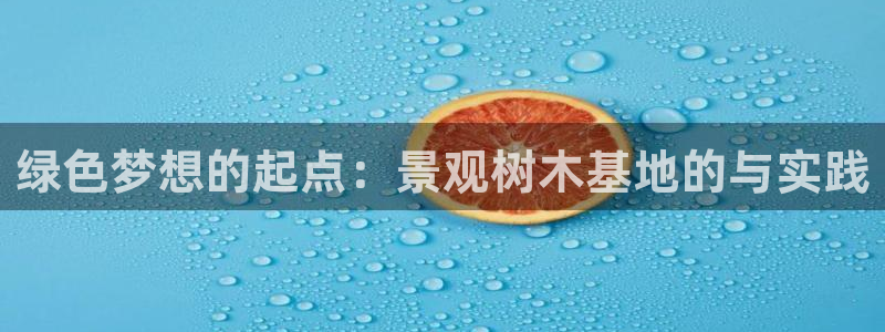 新宝gg搜740005:绿色梦想的起点:景观树木基地的与实践